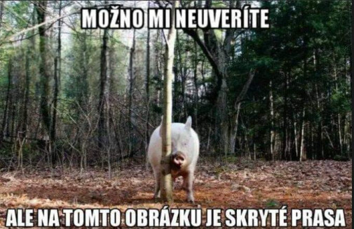 Tiež som tomu nemohol uveriť